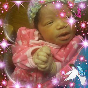 Meet your Posher, William